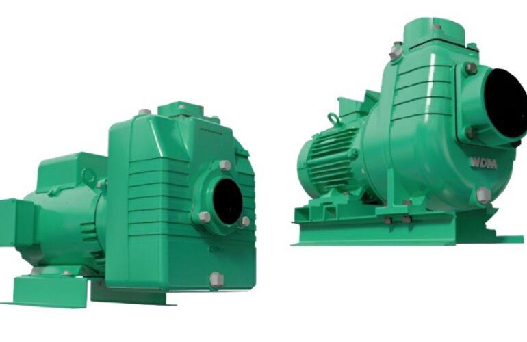 Bombas autocebantes WDM motor eléctrico AE-AUE