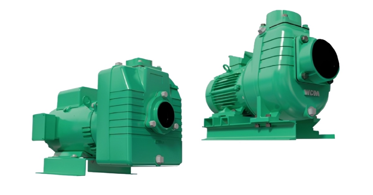 Bombas autocebantes WDM motor eléctrico AE-AUE
